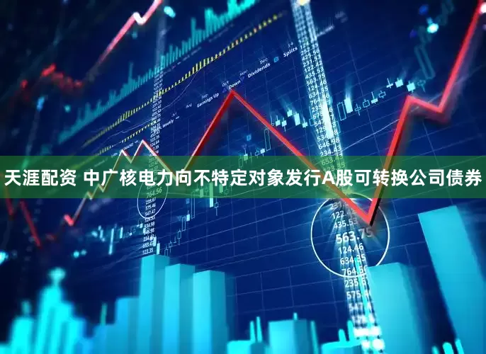天涯配资 中广核电力向不特定对象发行A股可转换公司债券