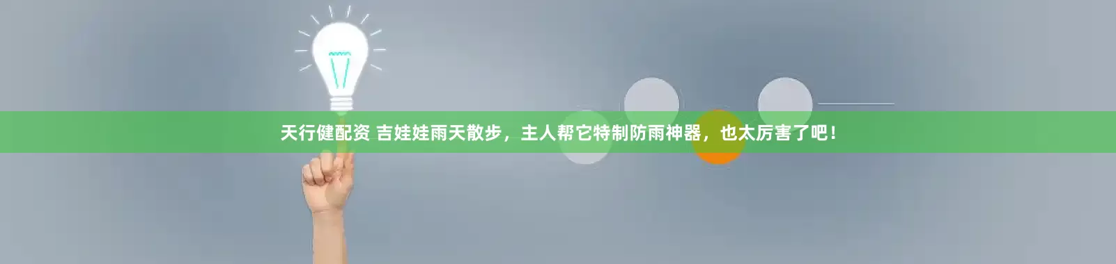 天行健配资 吉娃娃雨天散步，主人帮它特制防雨神器，也太厉害了吧！