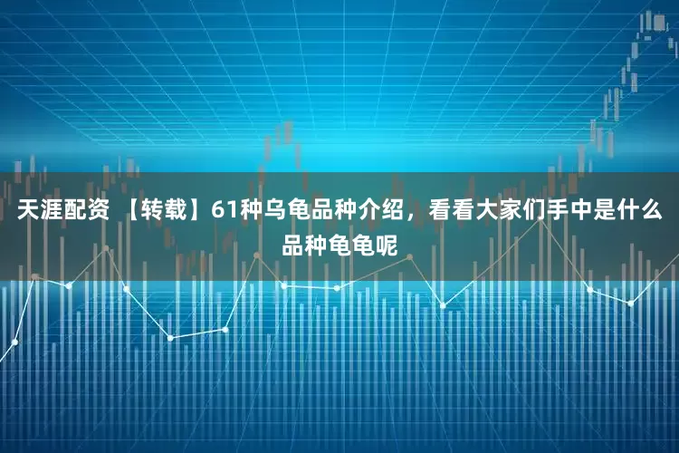 天涯配资 【转载】61种乌龟品种介绍，看看大家们手中是什么品种龟龟呢