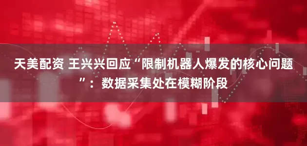 天美配资 王兴兴回应“限制机器人爆发的核心问题”：数据采集处在模糊阶段
