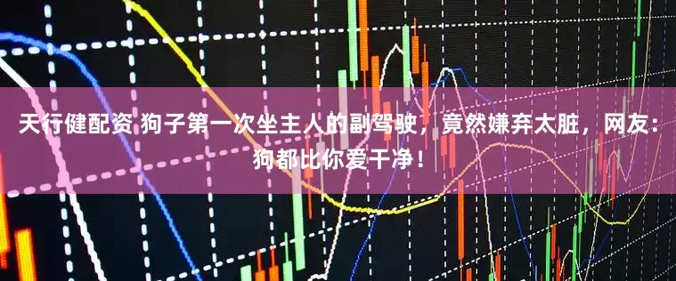 天行健配资 狗子第一次坐主人的副驾驶，竟然嫌弃太脏，网友：狗都比你爱干净！