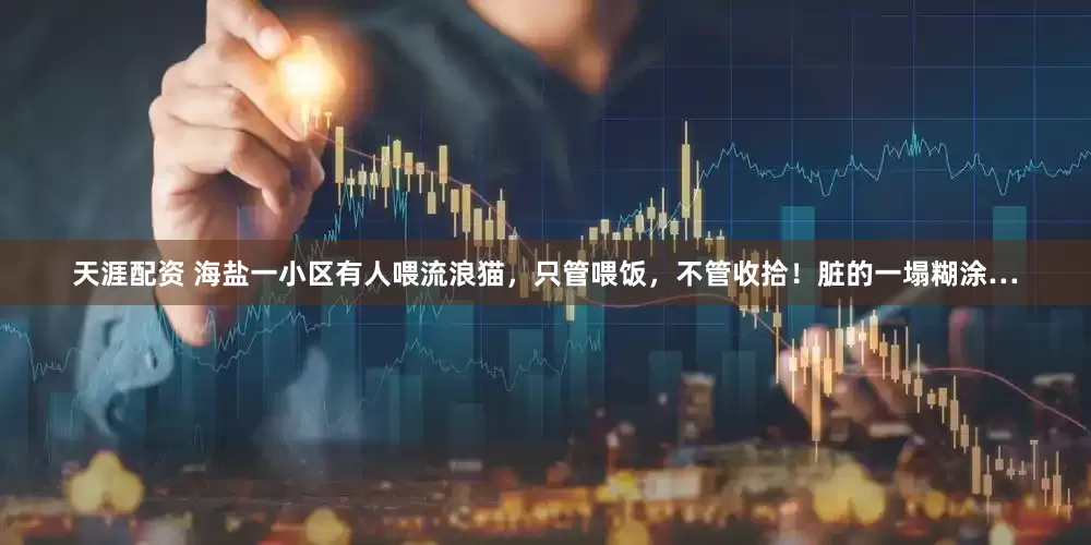 天涯配资 海盐一小区有人喂流浪猫，只管喂饭，不管收拾！脏的一塌糊涂…