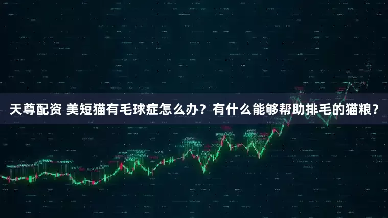 天尊配资 美短猫有毛球症怎么办？有什么能够帮助排毛的猫粮？